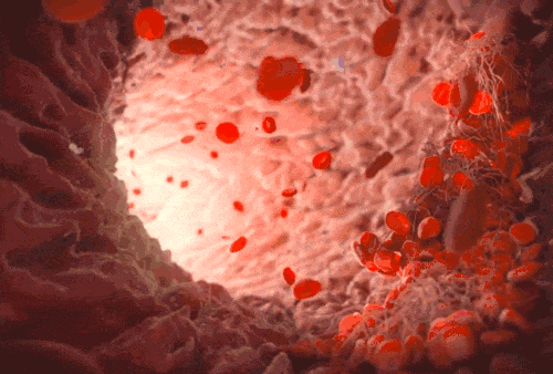 排毒.gif