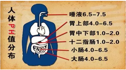 QQ截图20180828152523.png